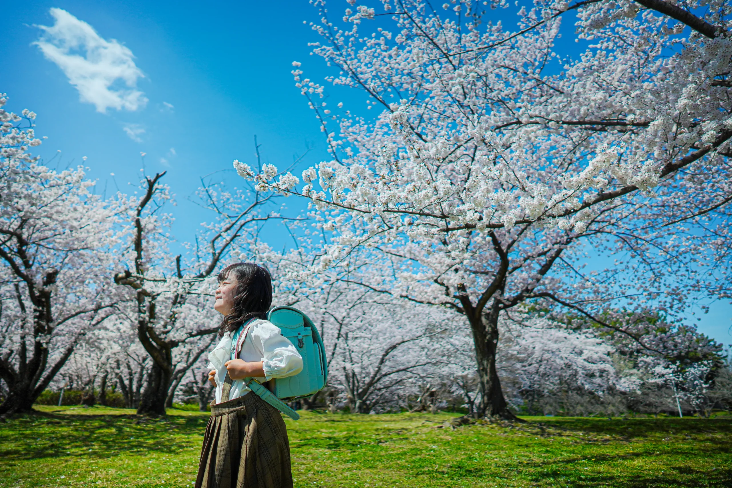 堺市大泉緑地公園にて入学写真撮影