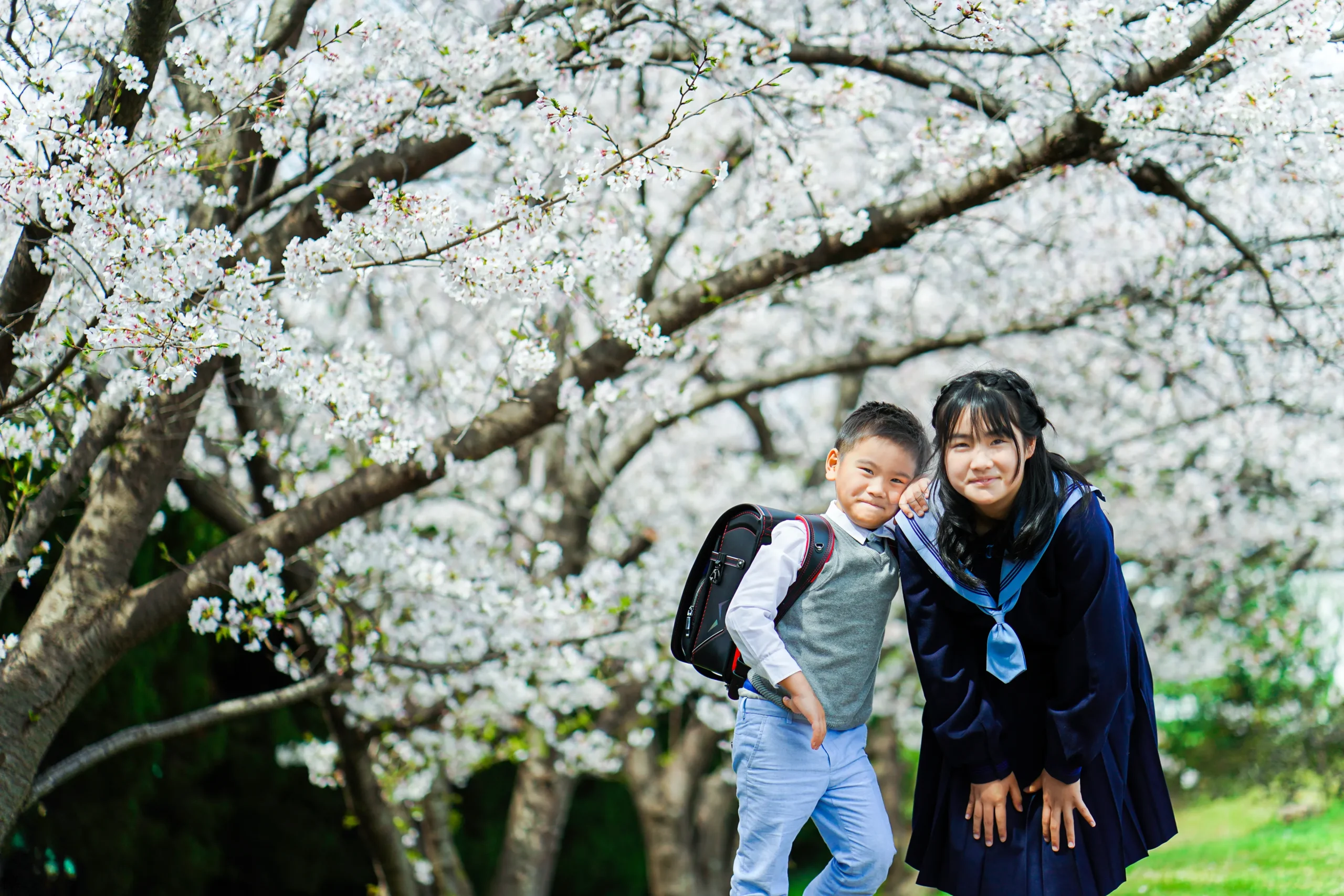 堺市にて入学桜ロケーションフォト