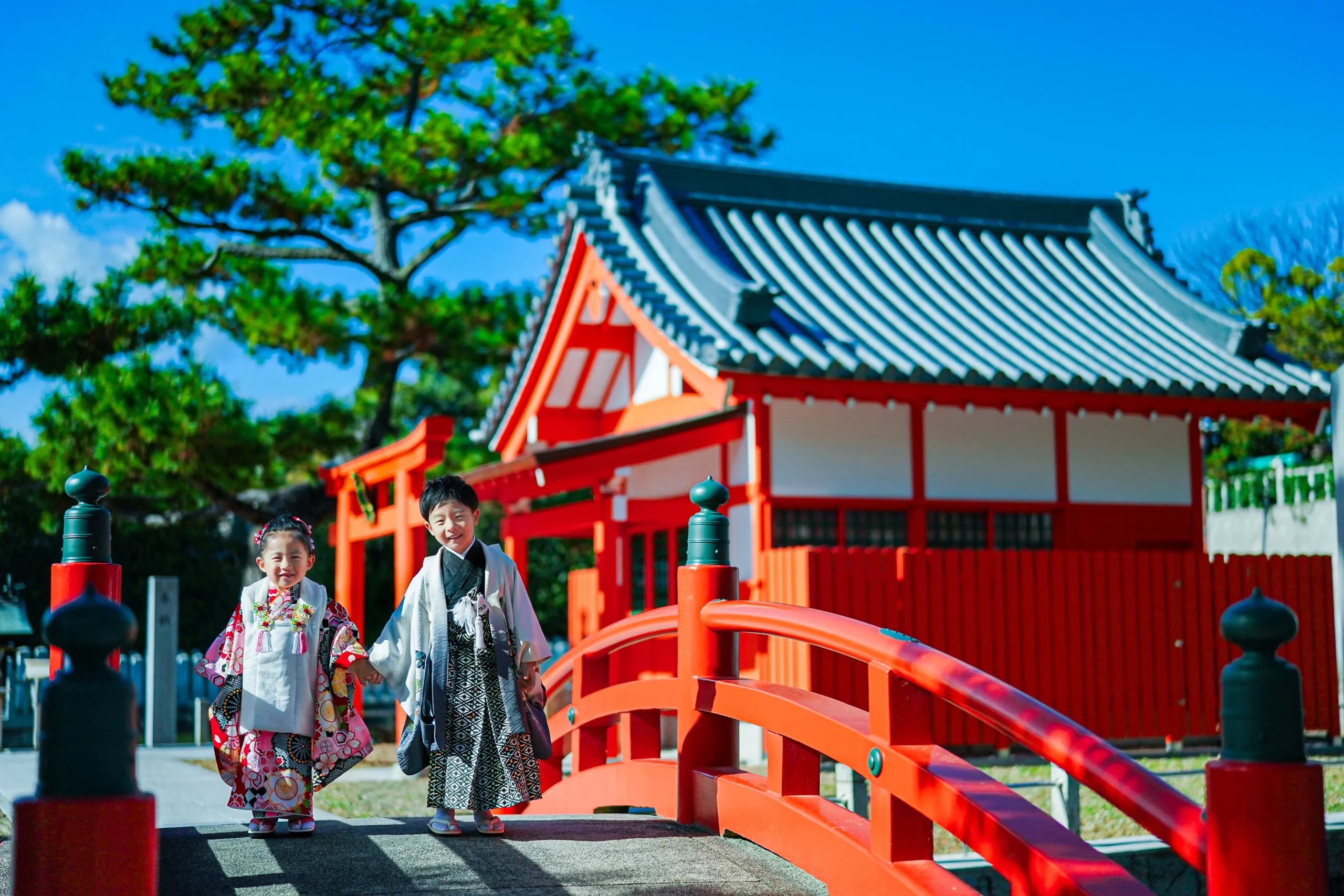 堺市百舌鳥八幡宮にて七五三写真撮影