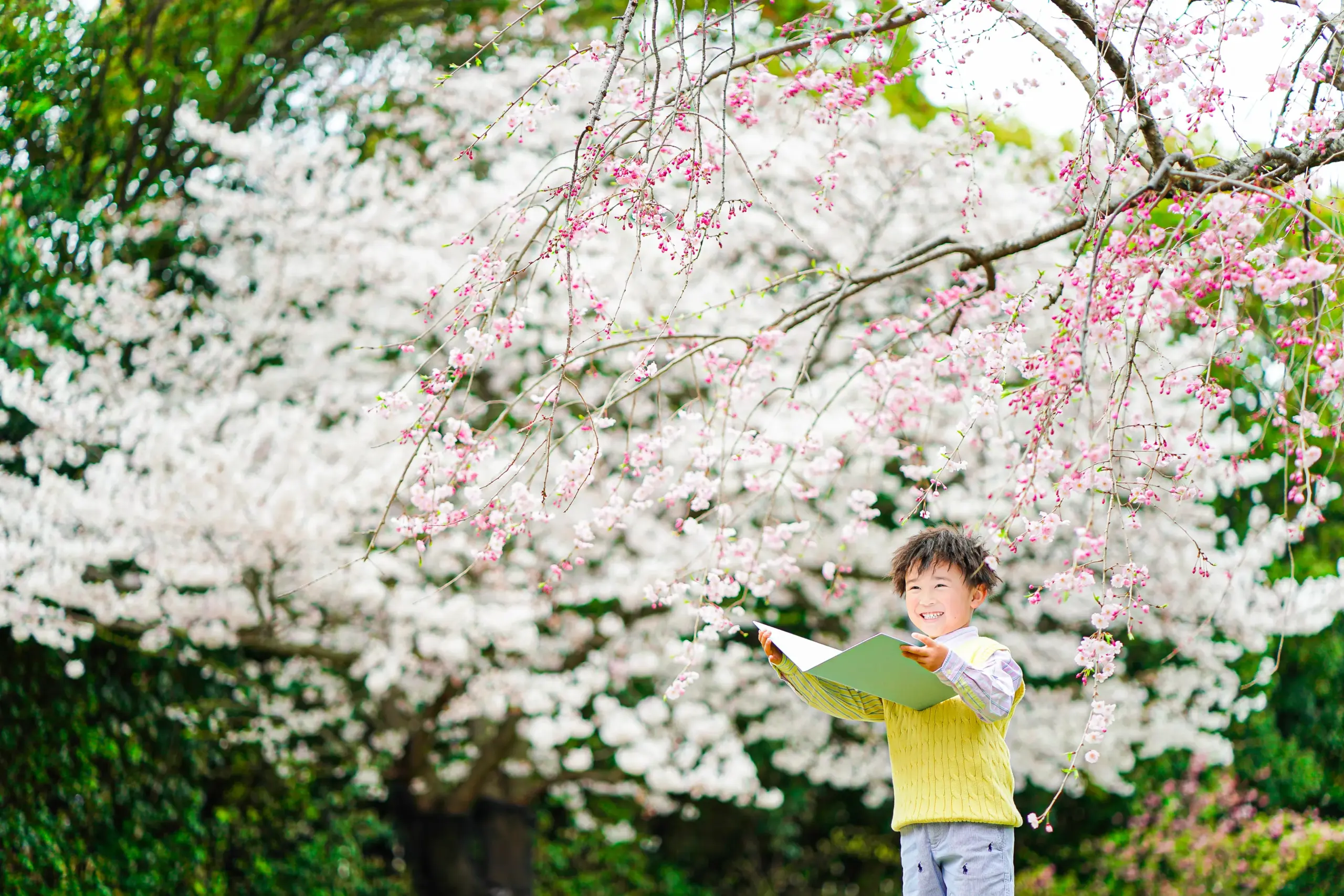 堺市写真館FYS Photographyで入園入学ロケーション撮影