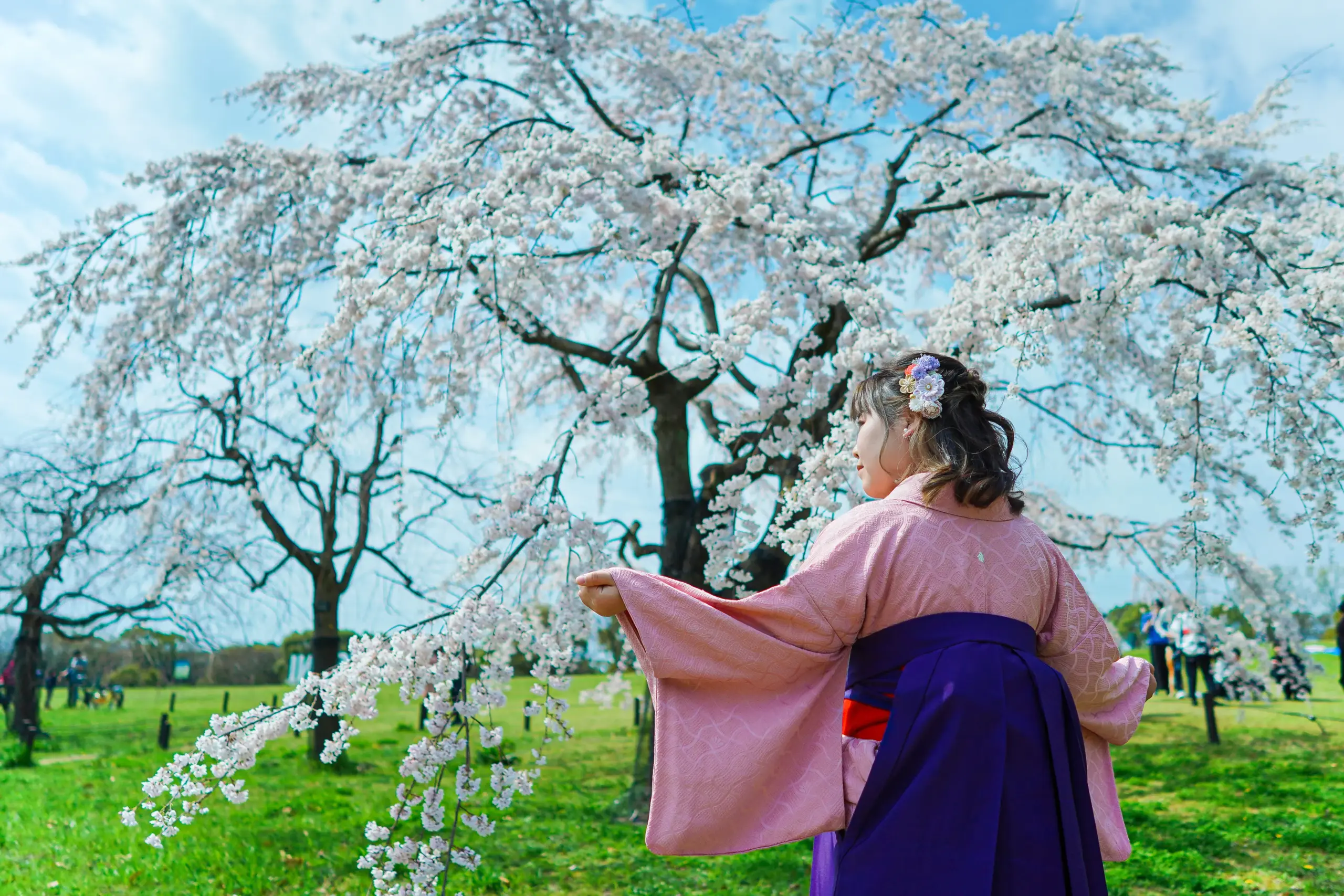 堺市にある写真館FYS Photographyの卒業袴レンタル着付け