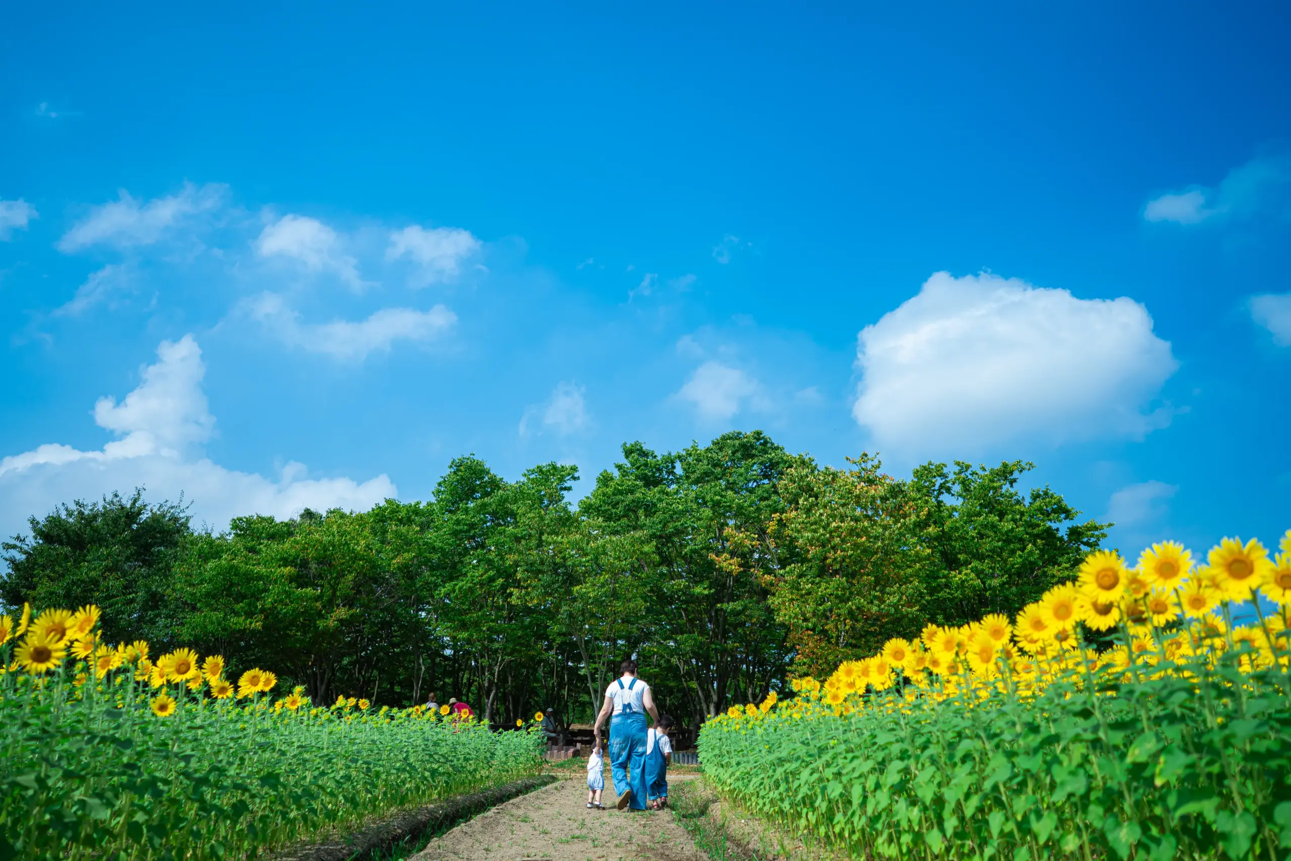 堺市にある写真館FYS Photographyのロケーションバースデーフォト