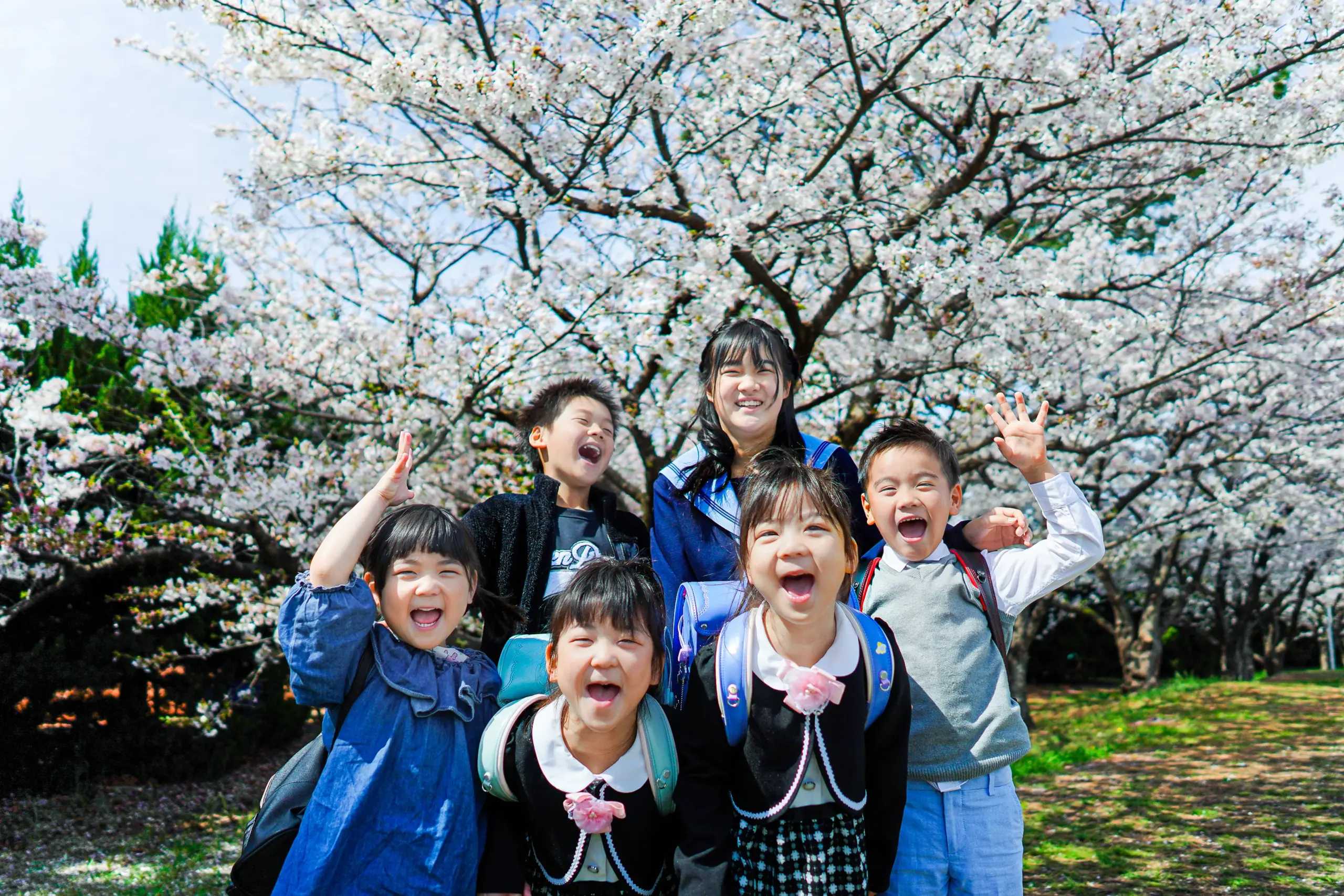 堺市にあるロケーション撮影に特化した写真館FYS Photographyで桜を背景に入学の写真撮影