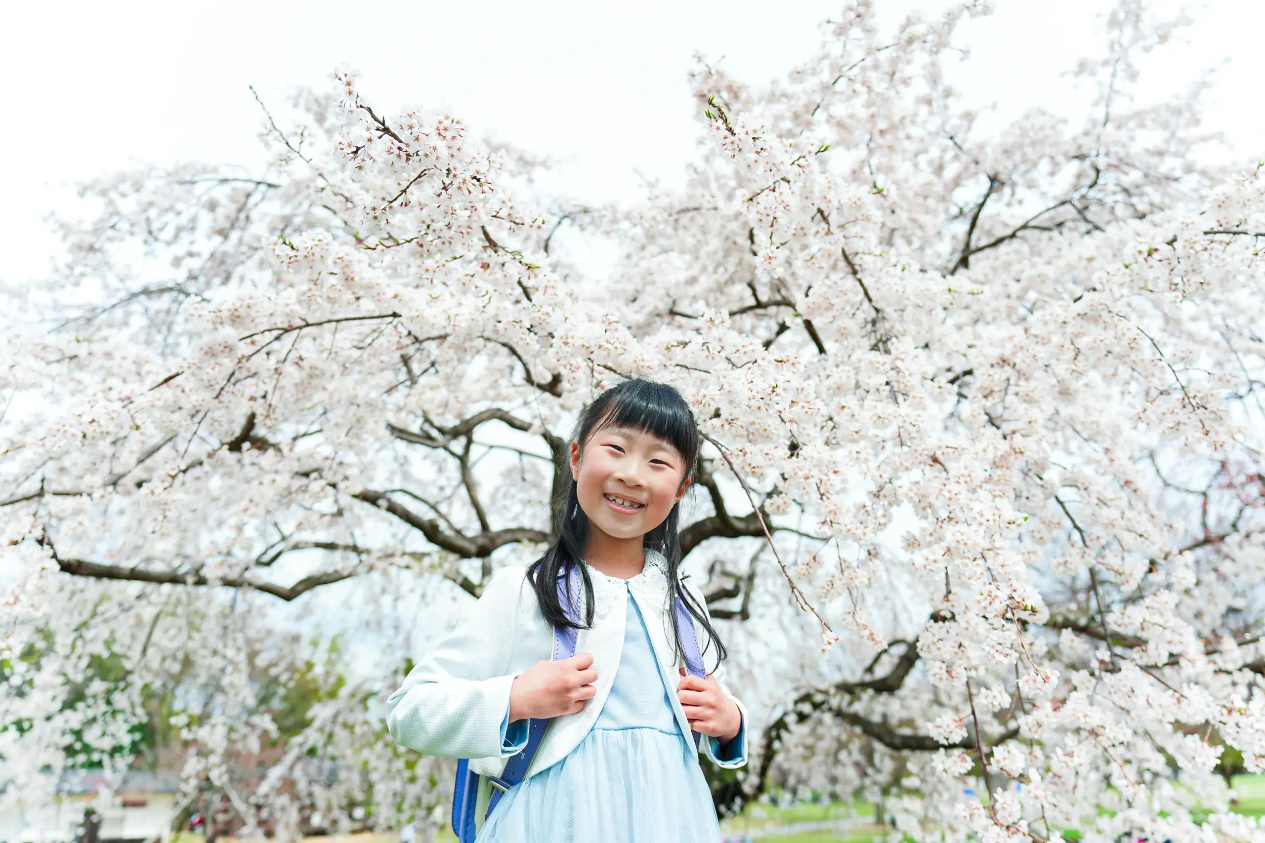 ロケーション撮影に特化した堺市にある写真館FYS Photographyで桜を背景に入園入学の写真撮影