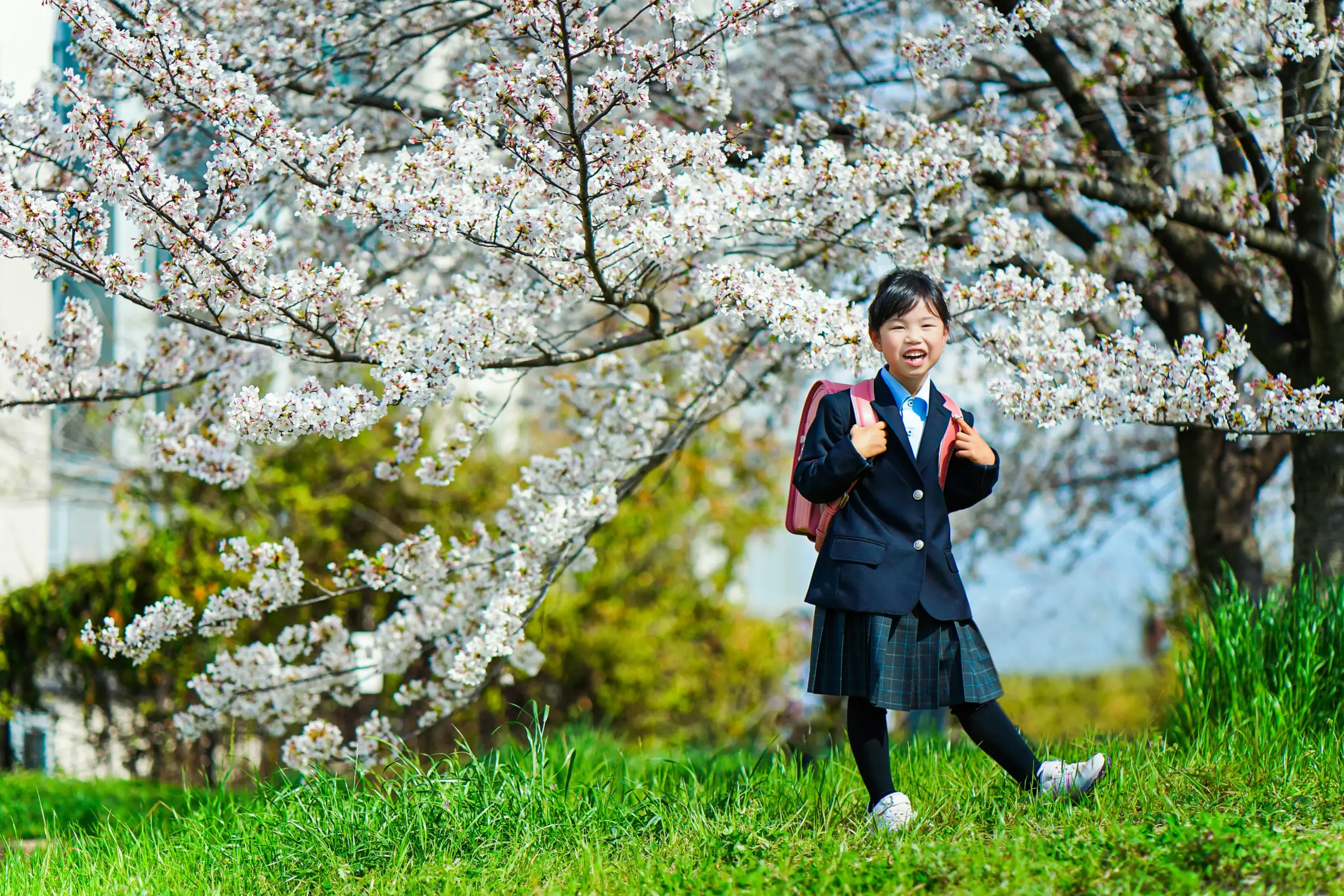 堺市にあるロケーション撮影に特化した写真館FYS Photographyで桜を背景に入学の写真撮影